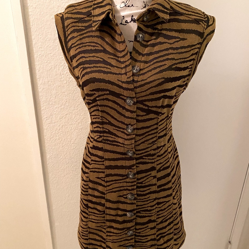 NWOT Cute Free People Tiger Stripe Button Up Dress!